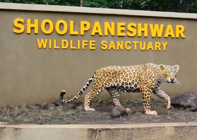The Shoolpaneshwar Wildlife Sanctuary